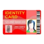 identity-cards-500×500